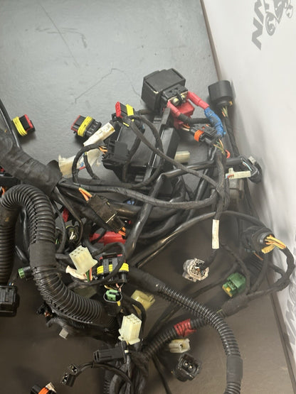 Aprilia Tuono V4 1100 Factory 2017- Engine wiring loom Complete harness 2D000304
