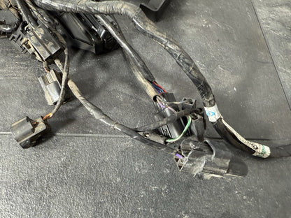 54c67f13-167b-4791-a59b-12c5e6337650