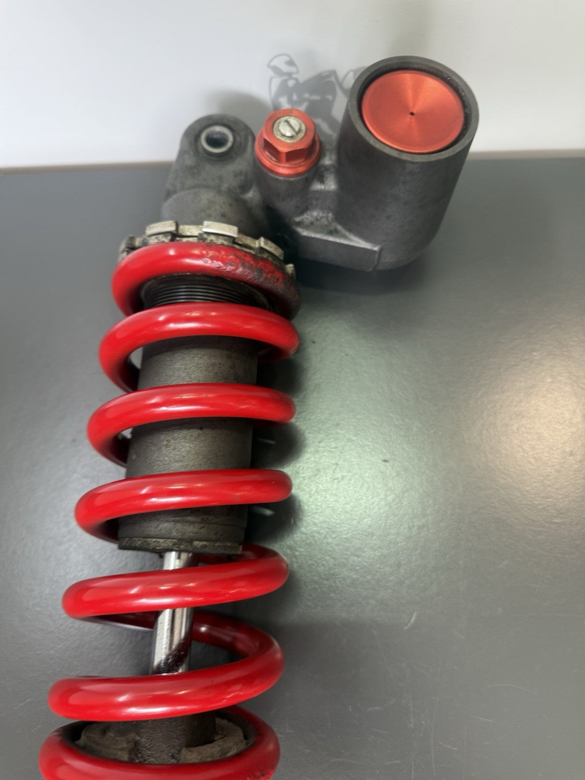 81cee73a-691a-42fa-acc4-cf9fea8c13b7