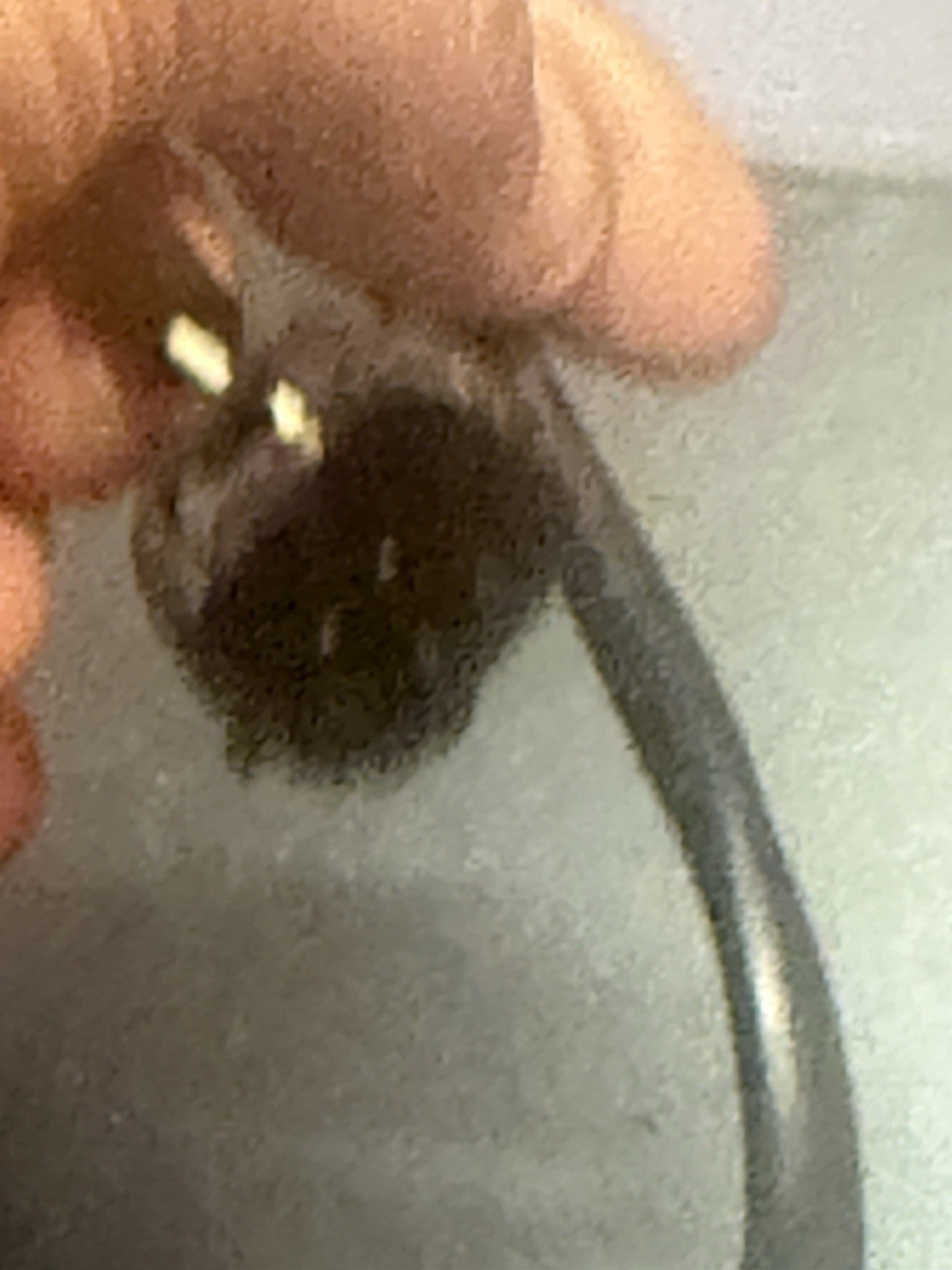 0cec5191-2d74-4f04-9127-c2abf965d8ce