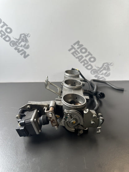 Triumph Speed Triple 1050 Throttle Bodies 2011-2015 Speed Triple Throttle Bodies