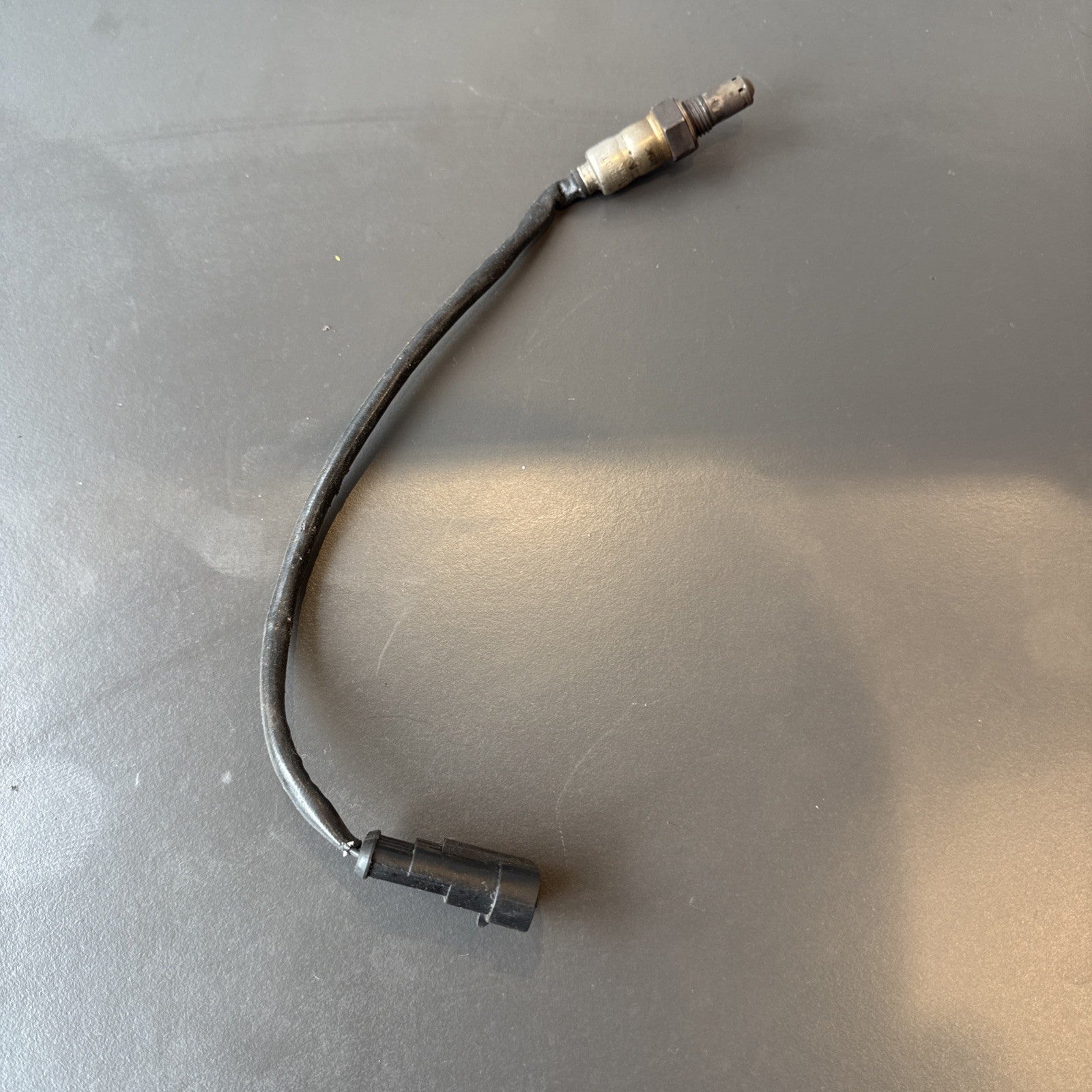 c93ceb1a-822d-425c-a61f-872896b79588