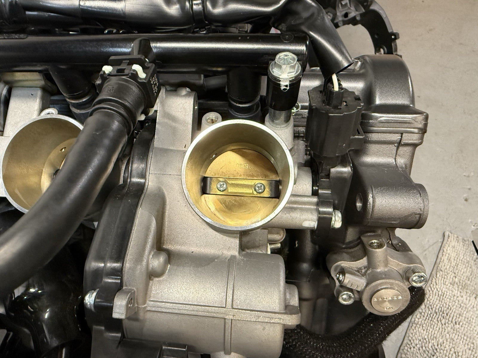 d5c2f505-1dbf-4246-b836-f5de674e614c