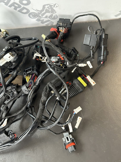 Ducati 959 Panigale Wiring Loom Complete Engine Loom 2017 5772 Miles 959 Loom