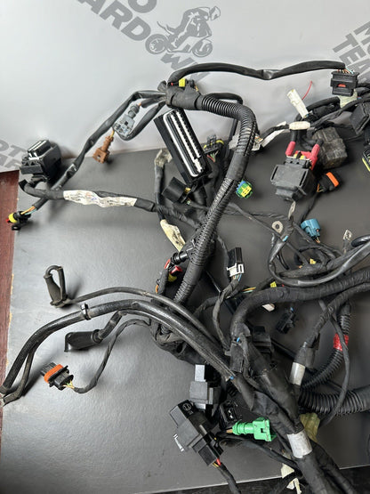 Aprilia Tuono V4 1100 Factory 2017- Engine wiring loom Complete harness 2D000304