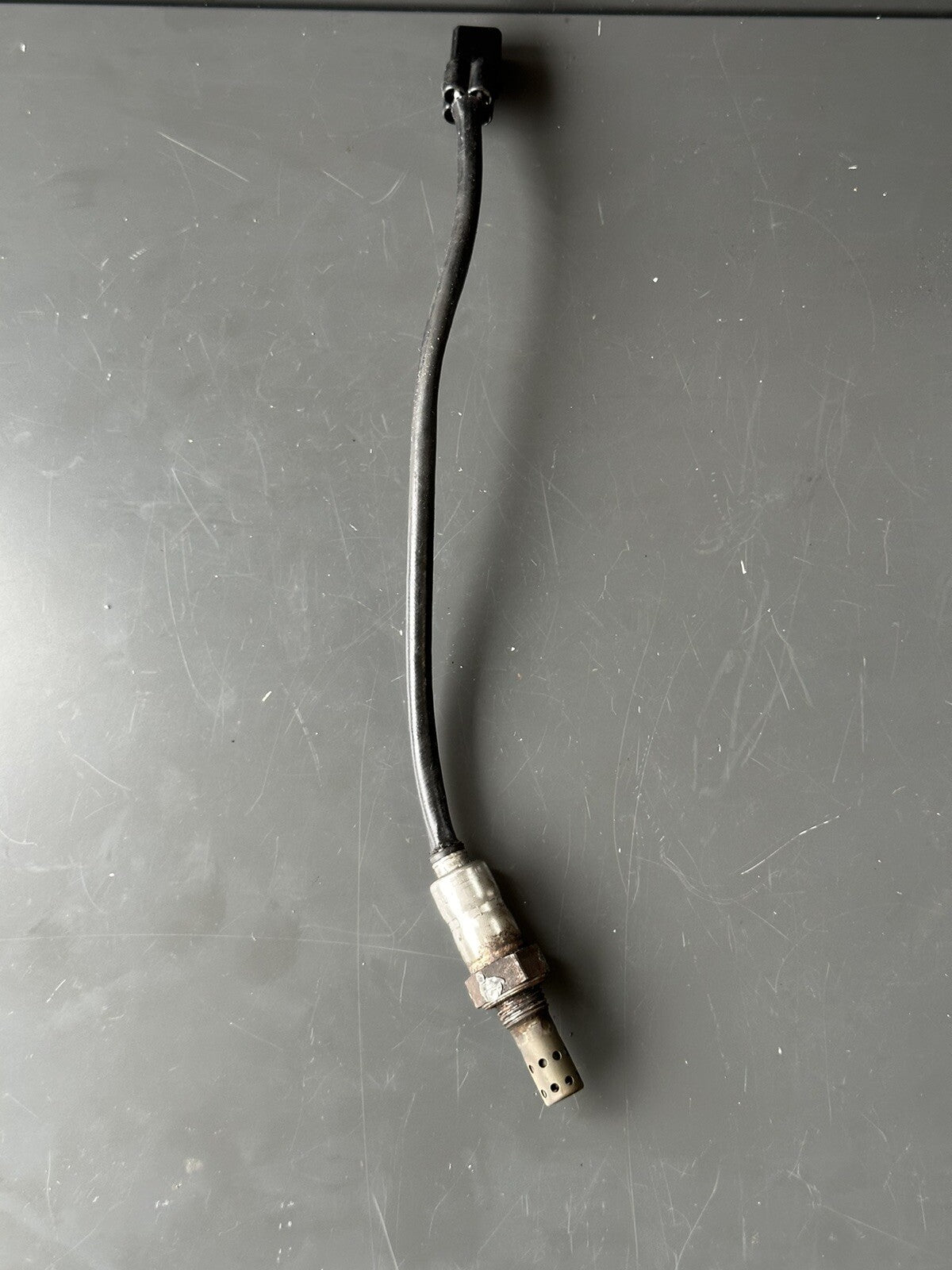 Triumph Street Triple 765 RS 2017-2019 Lambda Sensor Probe OEM
