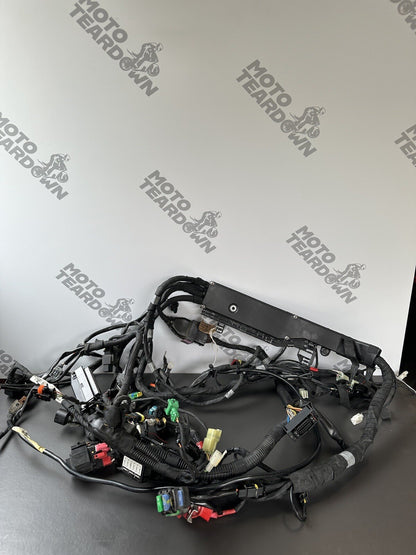 Aprilia Tuono V4 1100 Factory 2017- Engine wiring loom Complete harness 2D000304