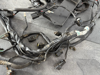 Triumph Street Triple 765 R 2017 Full Wiring Loom Harness 18498 Miles 2018-2021
