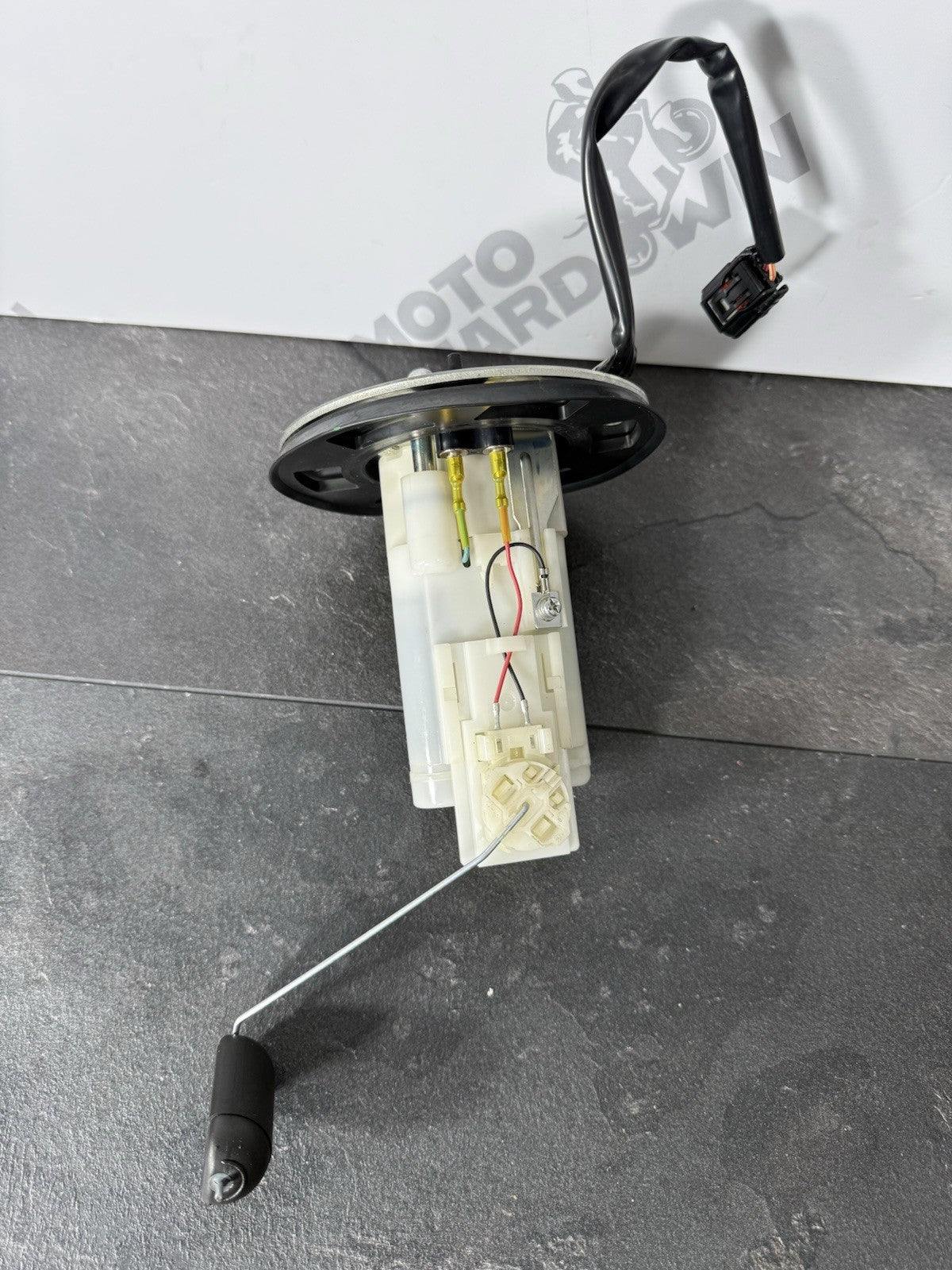 808a405d-1c9b-4646-8e76-7a114e36e56b