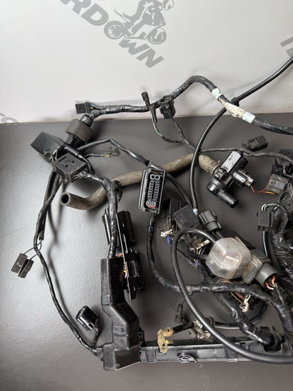TRIUMPH STREET TRIPLE 675R WIRING LOOM Engine Wiring Loom 2013-2016