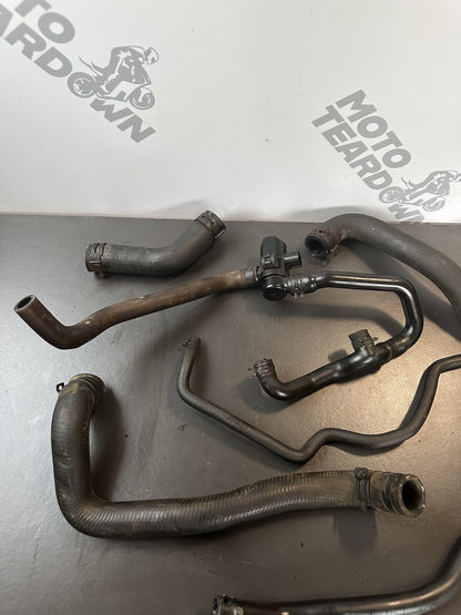 TRIUMPH STREET TRIPLE 765RS Job Lot Engine Hoses Job Lot Hoses 2017-2019 OEM