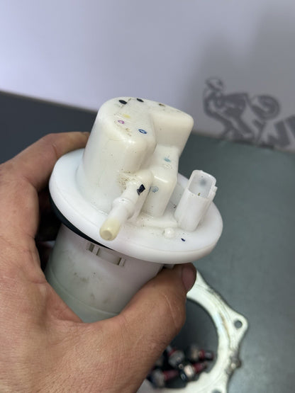 56048496-7180-45e1-ae6d-322e045a8af1