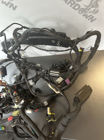 Aprilia Tuono V4 1100 Factory 2017- Engine wiring loom Complete harness 2D000304