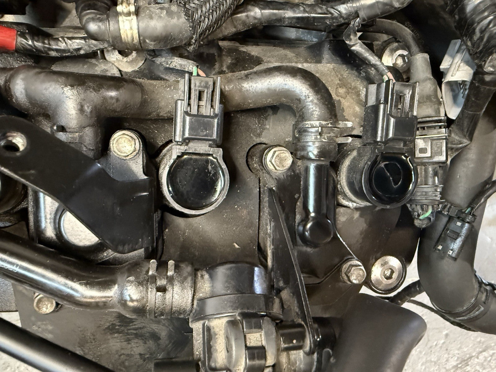 TRIUMPH TRIDENT 660 Engine 2021-2023 Trident 660 Engine, Loom, Throttle Bodies