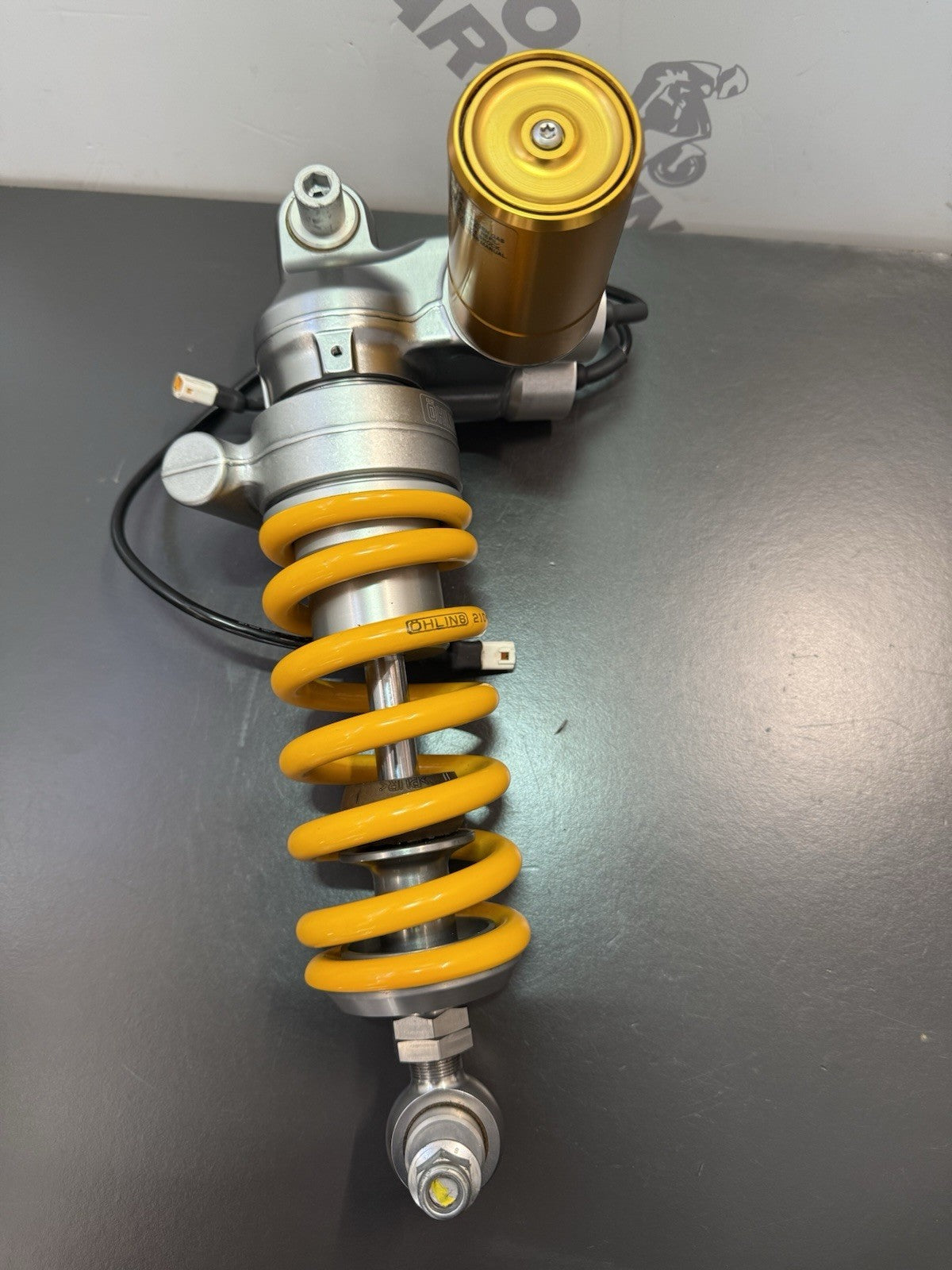 6f1d27ab-f537-4b92-8205-25c483b8ace9