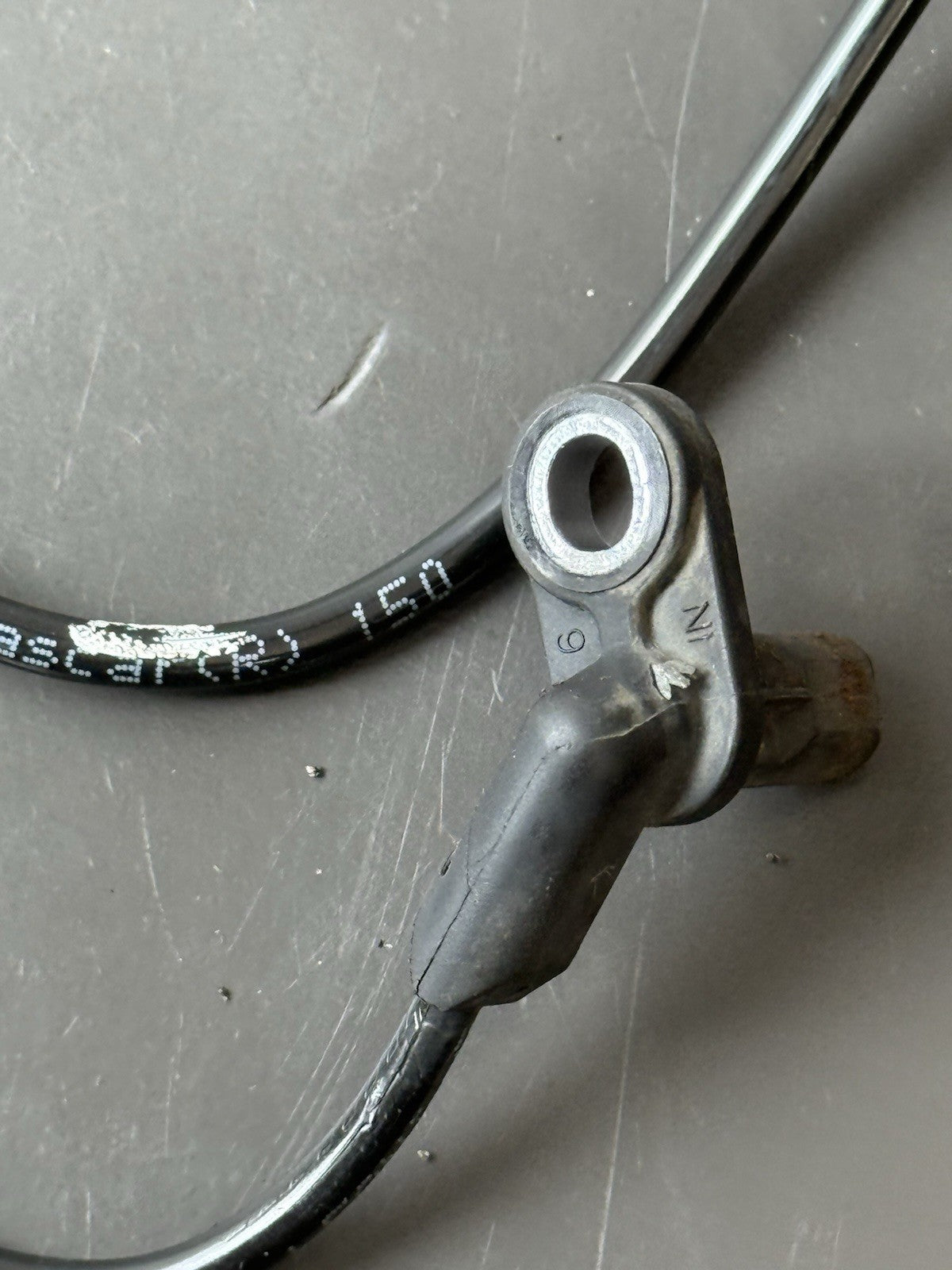 Triumph Trident 660 Rear ABS sensor Genuine OEM 2021 - 2023 660 Rear ABS sensor