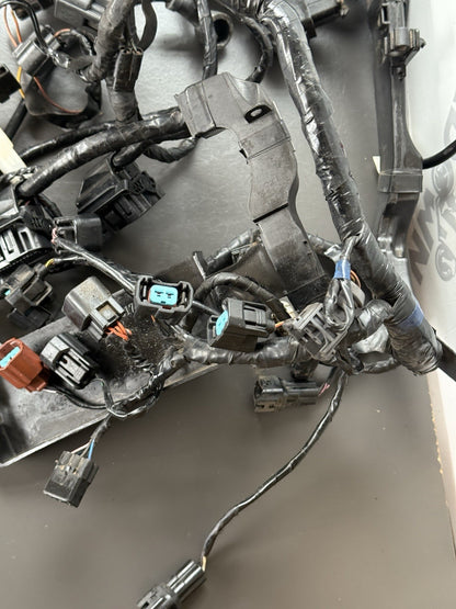 TRIUMPH STREET TRIPLE 675R WIRING LOOM Engine Wiring Loom 2013-2016