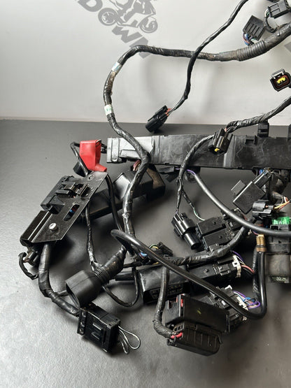 TRIUMPH STREET TRIPLE 675 ABS 2013 - 2016 WIRING LOOM HARNESS Engine Loom 12,409