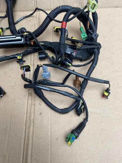 Aprilia Tuono V4 Rear wiring loom 2D000304 Aprilia Tuono V4 Rear Loom Rear Loom