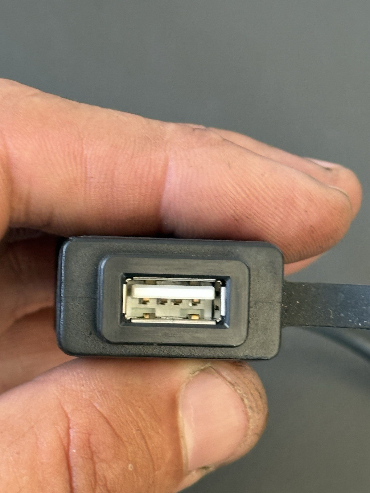 e5d41c62-6483-4b40-98b2-3d3fd37dc586