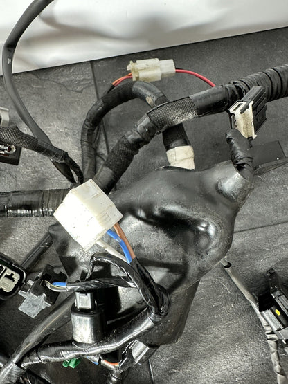 Kawasaki Z800 2016 Wiring Loom Complete Wiring Harness 12691 Miles 2013-2018 OEM