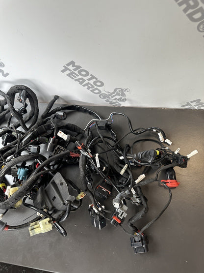 Ducati 959 Panigale Wiring Loom Complete Engine Loom 2017 5772 Miles 959 Loom