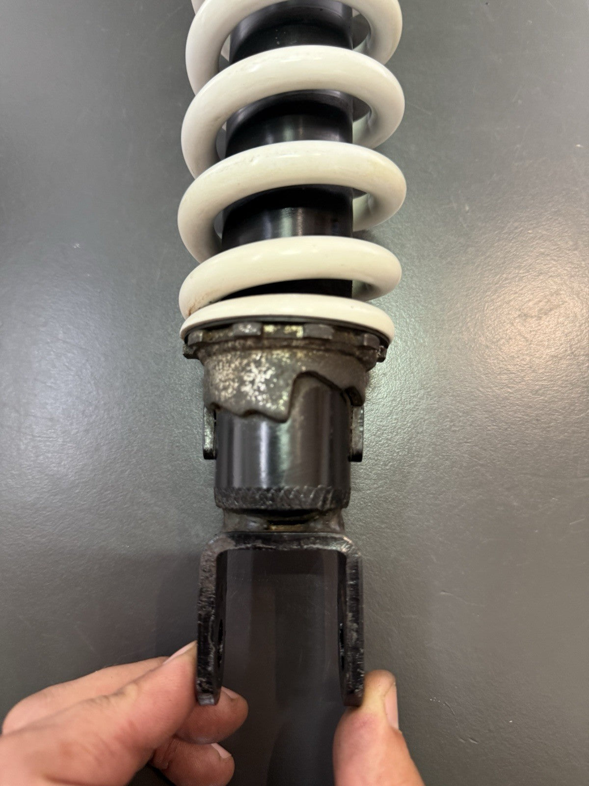 04110857-1b0f-47c6-b76c-6a29cbec5999