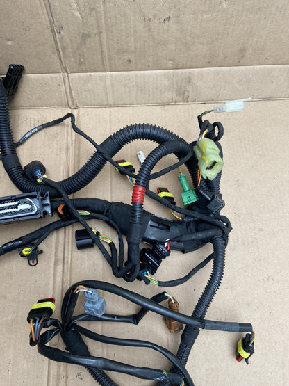 Aprilia Tuono V4 Rear wiring loom 2D000304 Aprilia Tuono V4 Rear Loom Rear Loom