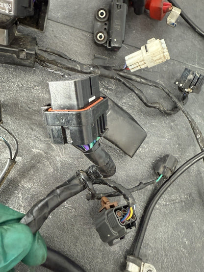 Triumph Street Triple 765 R 2017 Full Wiring Loom Harness 18498 Miles 2018-2021