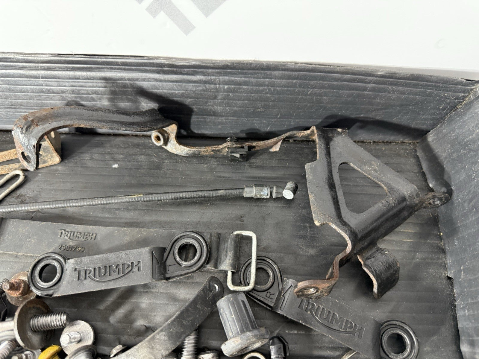 49f8a648-c0d1-4acf-b58b-57eae048ae72