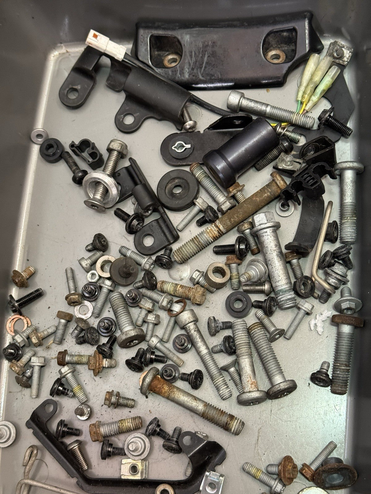 69a7b5ef-f417-4a4f-aae9-f019679325ad