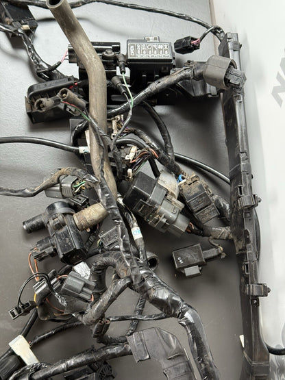 TRIUMPH STREET TRIPLE 675R WIRING LOOM Engine Wiring Loom 2013-2016