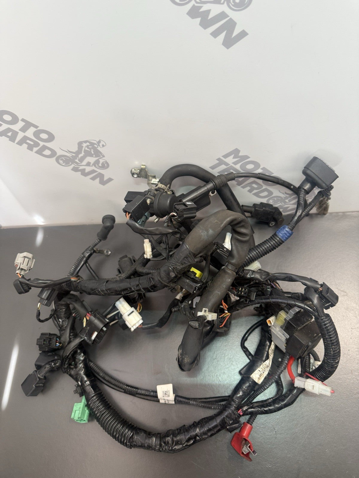 51856447-e518-4ed4-a4c2-601cdee6608c