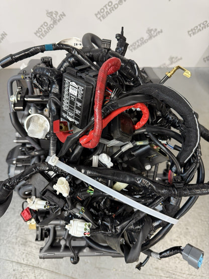 4cedbdd5-c6fa-4359-8166-34c1e5e54851