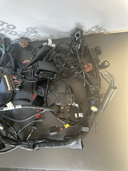 TRIUMPH SPEED TRIPLE 1050RS Wiring Harness Complete Wiring Loom 2018-20 T2502526