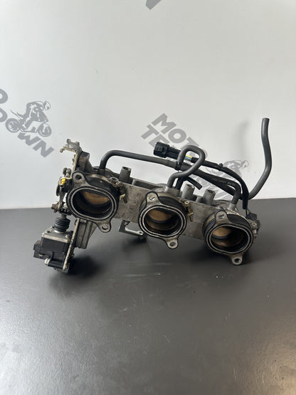 Triumph Speed Triple 1050 Throttle Bodies 2011-2015 Speed Triple Throttle Bodies