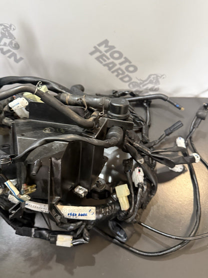 81c3ba78-70c5-4a87-bcd2-fc409bde363e