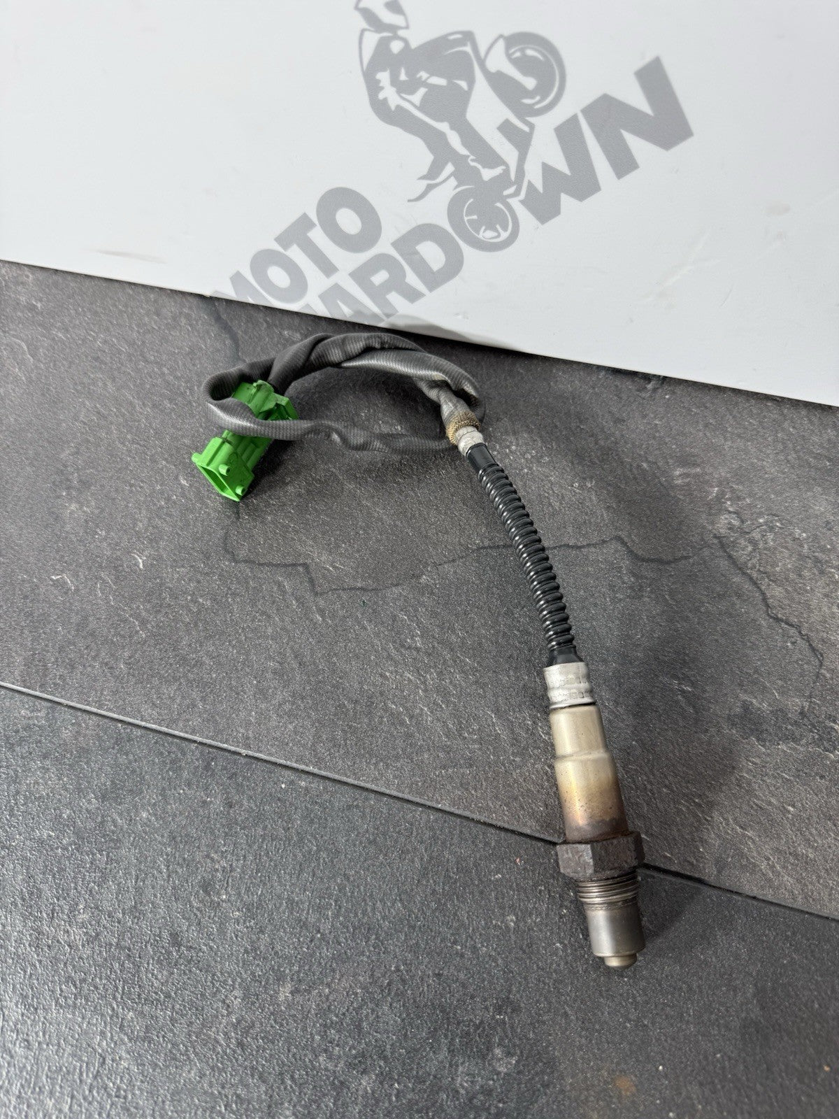 11630e4c-e345-4ca5-9470-65c46928faeb