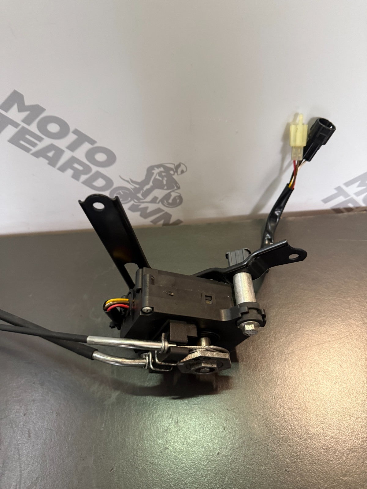 bee77df6-00f0-461a-a016-107c86dd53b4