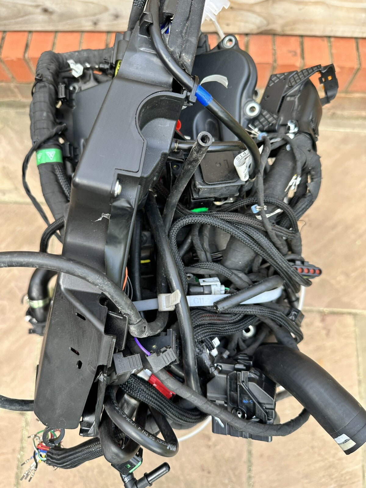 Ducati Multistrada V4 Pikes Peak 2022 Engine Wiring Loom Throttle Bodies 2023