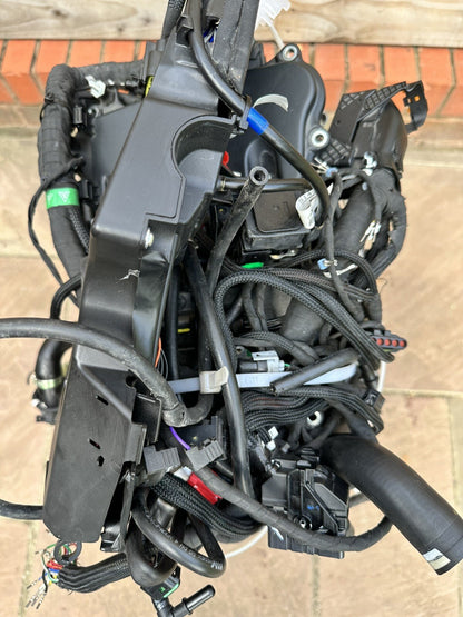 Ducati Multistrada V4 Pikes Peak 2022 Engine Wiring Loom Throttle Bodies 2023