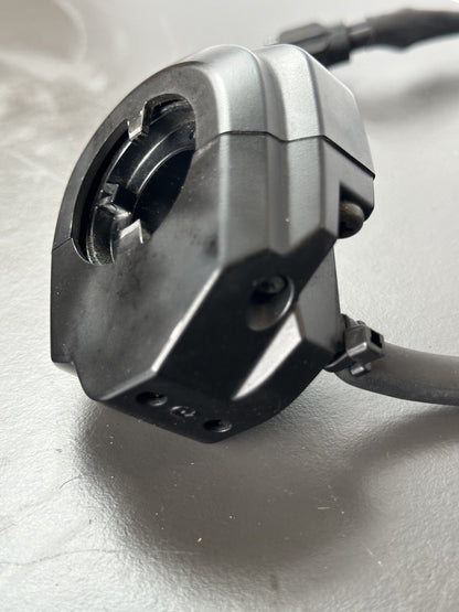 Triumph Speed Triple 1050RS 2018 2019 2020 Throttle Fly By Wire 1050RS Throttle