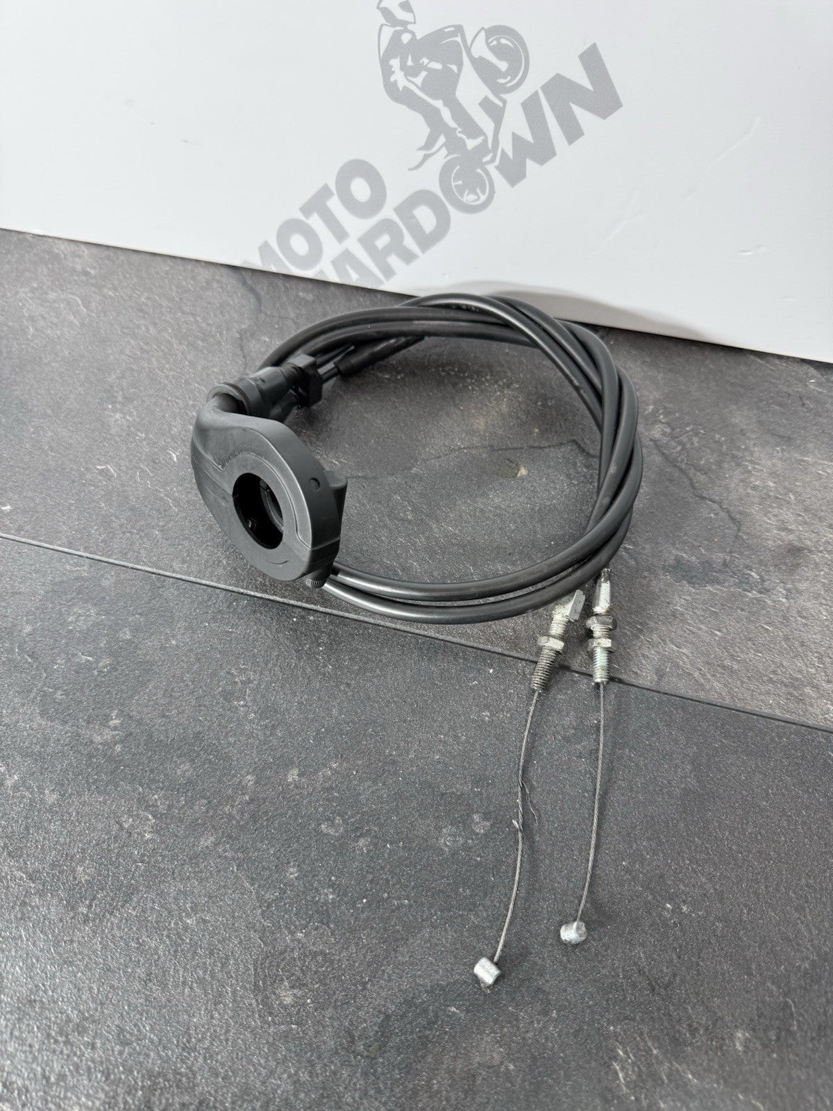 47f7d637-b4d8-42d1-b6e4-cf2834f76262