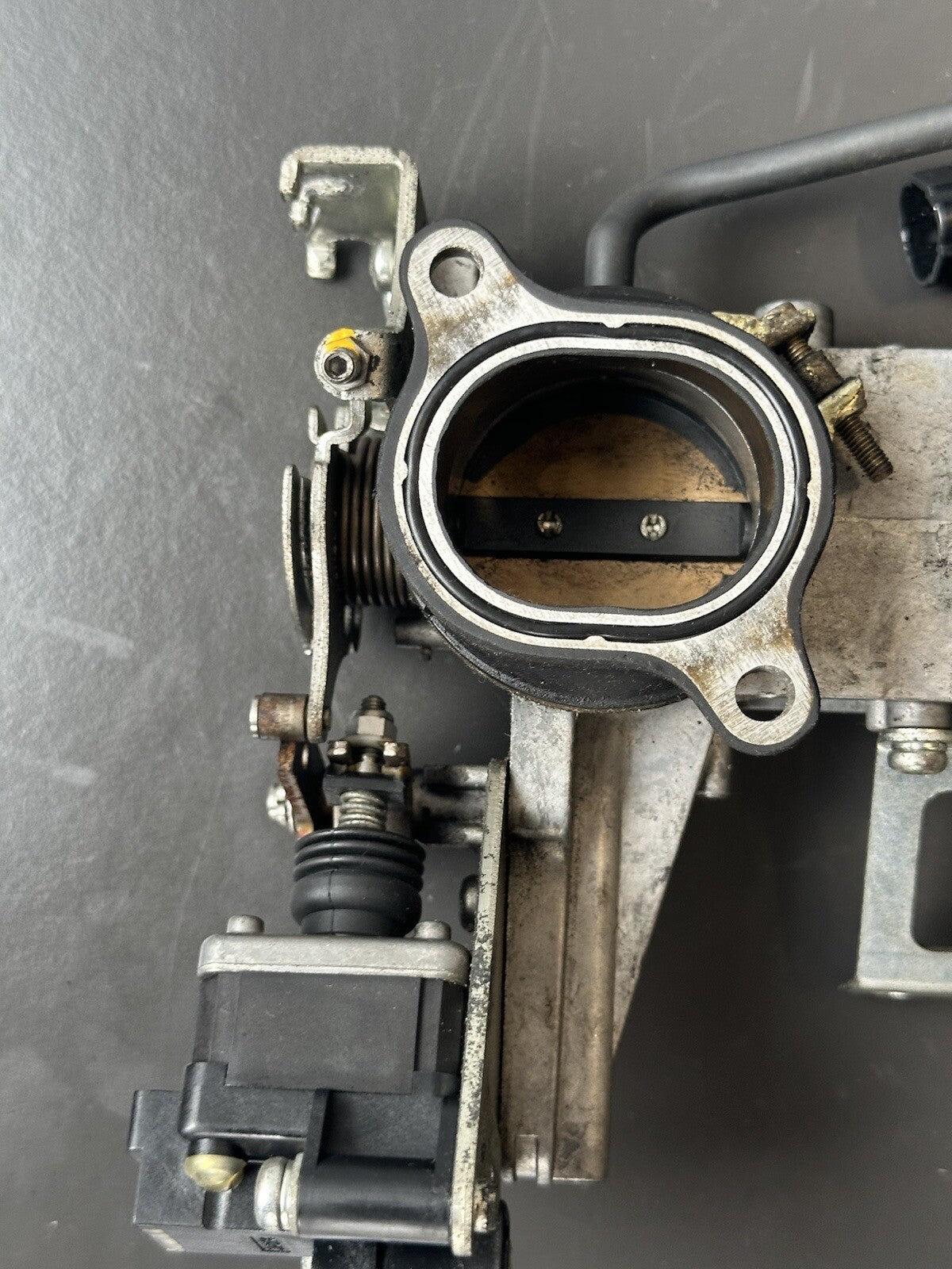 Triumph Speed Triple 1050 Throttle Bodies 2011-2015 Speed Triple Throttle Bodies