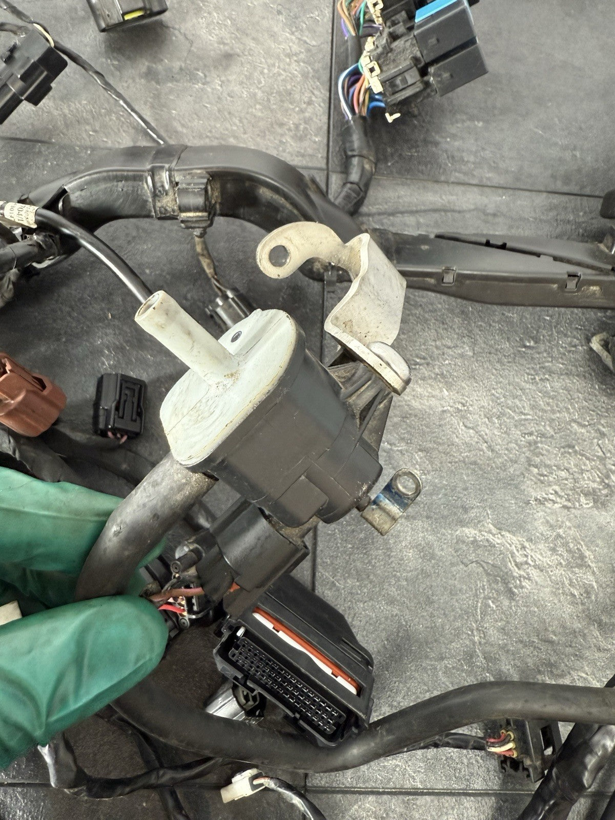 Triumph Street Triple 765 R 2017 Full Wiring Loom Harness 18498 Miles 2018-2021