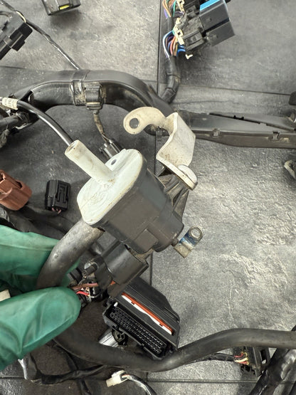 Triumph Street Triple 765 R 2017 Full Wiring Loom Harness 18498 Miles 2018-2021