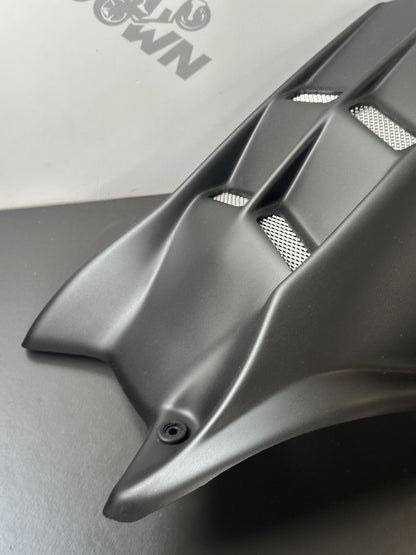 Triumph Street Triple 765 RS 2017-2020 POWERBRONZE REAR MUDGUARD Fender Rear