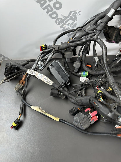 Aprilia Tuono V4 1100 Factory 2017- Engine wiring loom Complete harness 2D000304