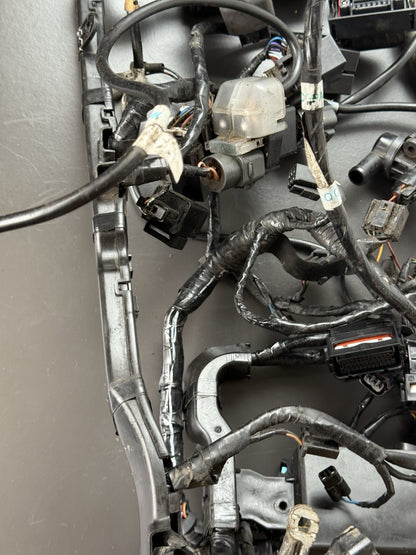 TRIUMPH STREET TRIPLE 675R WIRING LOOM Engine Wiring Loom 2013-2016