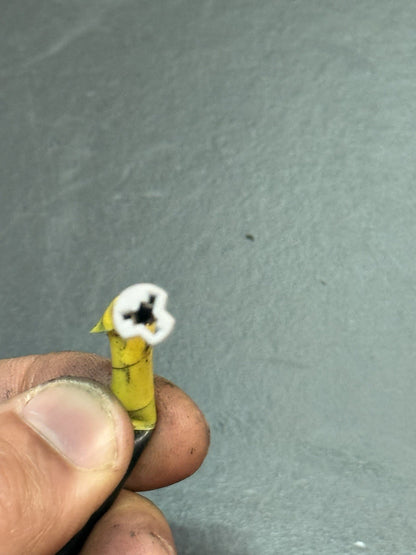 5f17d72e-62e2-46f5-8923-4bc412eaed43